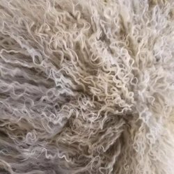 Lammeskind fra Tibet.